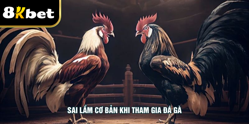 Sai lầm cơ bản khi tham gia đá gà