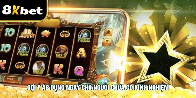 Gợi ý áp dụng ngay cho người chưa có kinh nghiệm